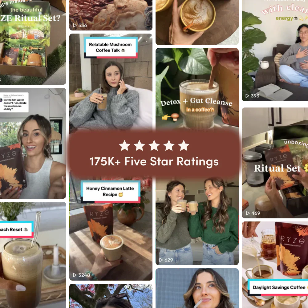 Dark Roast Starter Kit | Edition LI32