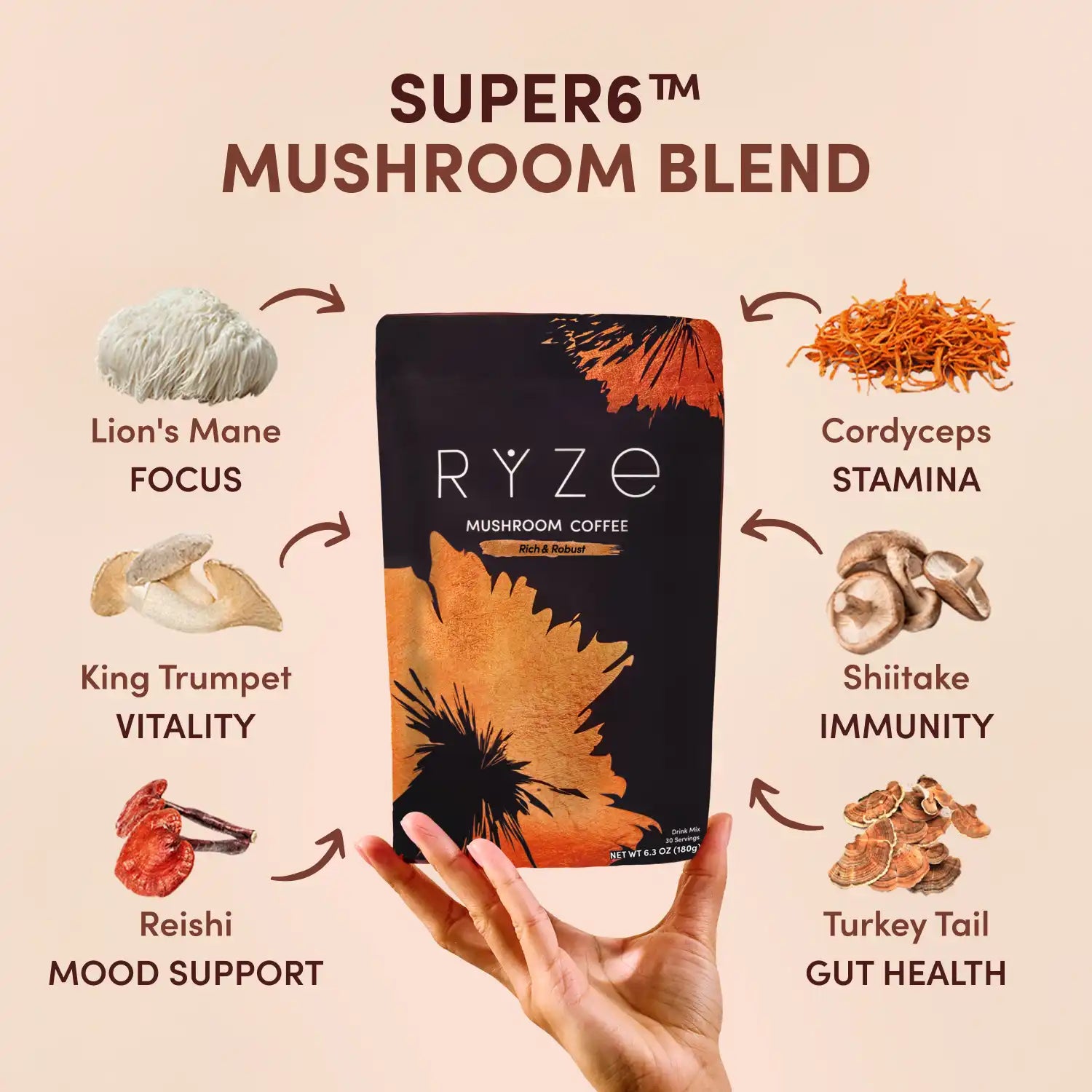 Dark Roast Starter Kit | Edition LI32