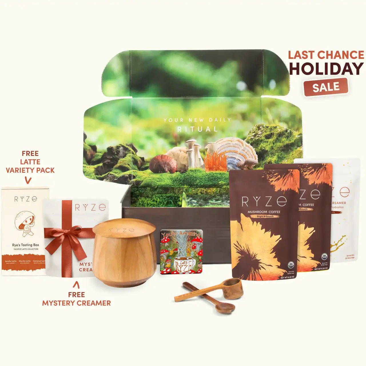 Mushroom Coffee | Select ZO35